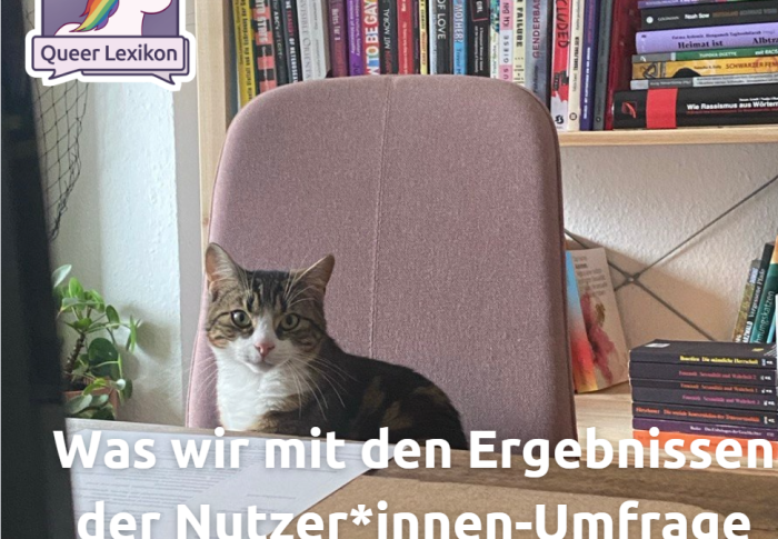 Wir haben eine Nutzer*innen-Umfrage durchgeführt – was machen wir jetzt mit den Ergebnissen?